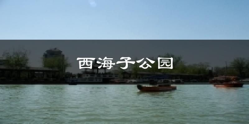 西海子公园天气预报十五天