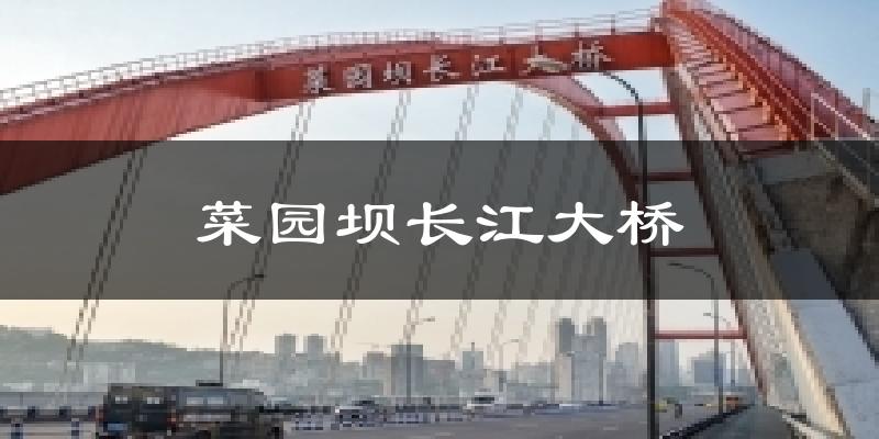 菜园坝长江大桥天气预报十五天
