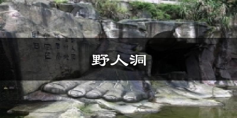 野人洞天气预报十五天