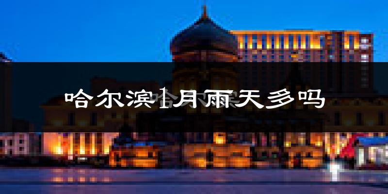 哈尔滨1月雨天多吗?