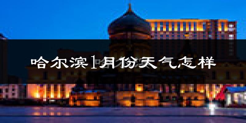 哈尔滨1月份天气如何?很冷吗?