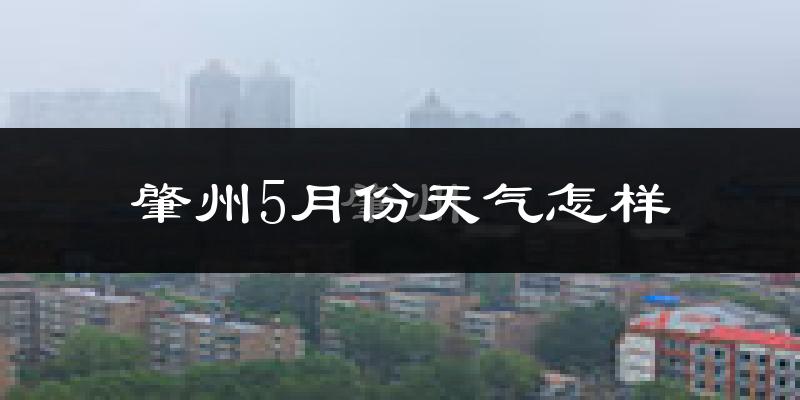 肇州县5月份天气如何?很热吗?