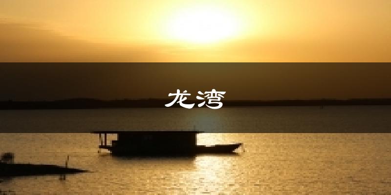 龙湾天气预报十五天