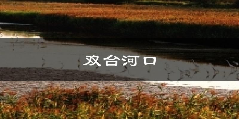 双台河口天气预报十五天