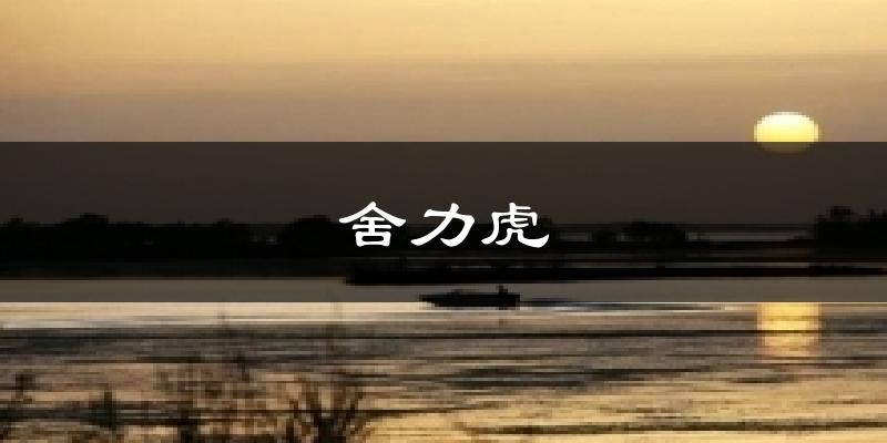 舍力虎天气预报十五天