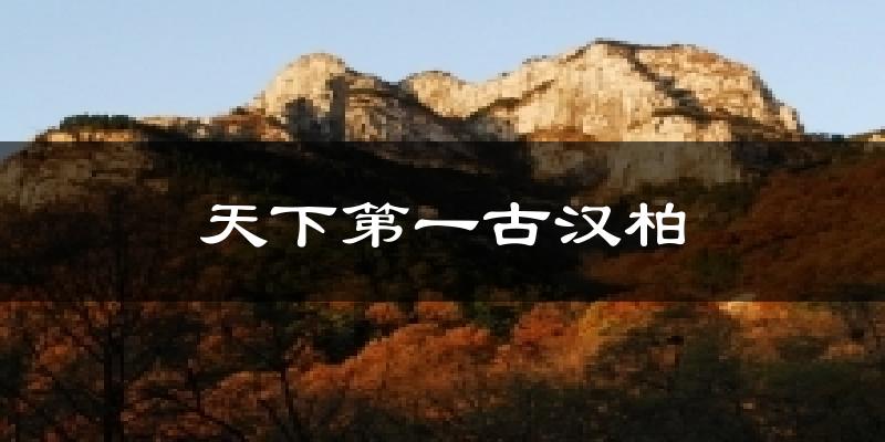 临漳天下第一古汉柏天气预报未来一周