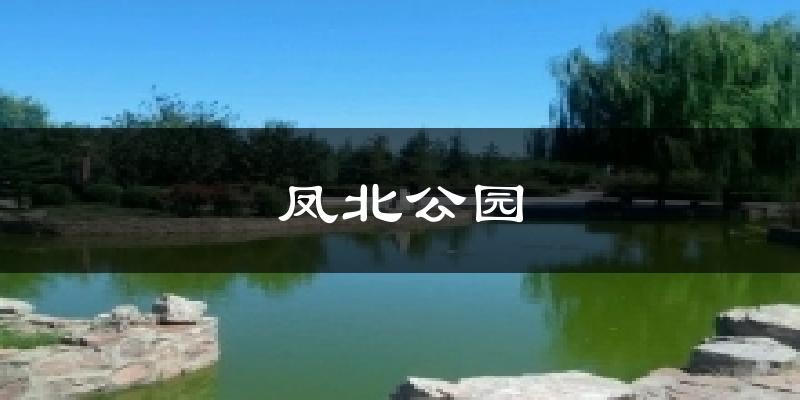 高邑凤北公园天气预报未来一周