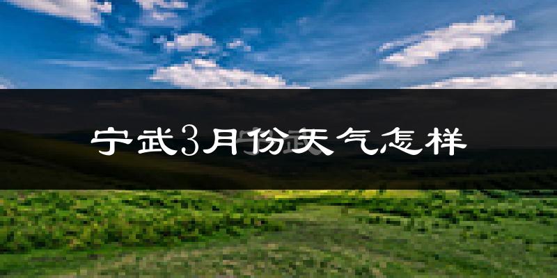 宁武县3月份天气如何?天气冷吗?