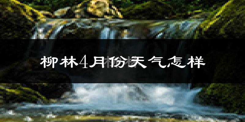 柳林县4月份天气如何?冷热情况怎么样?
