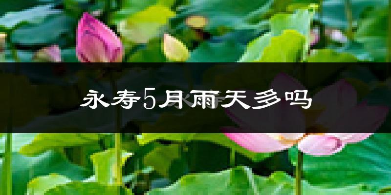 永寿5月雨天多吗?