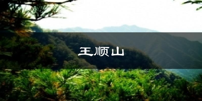 王顺山天气预报十五天
