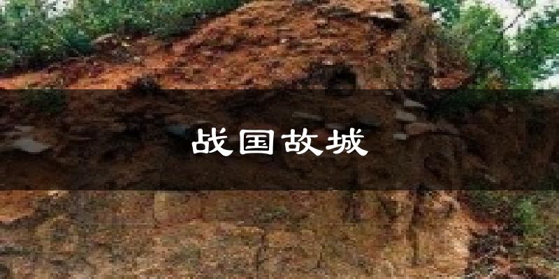 战国故城天气预报十五天