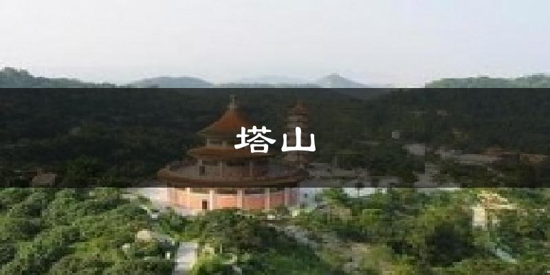 塔山天气预报十五天