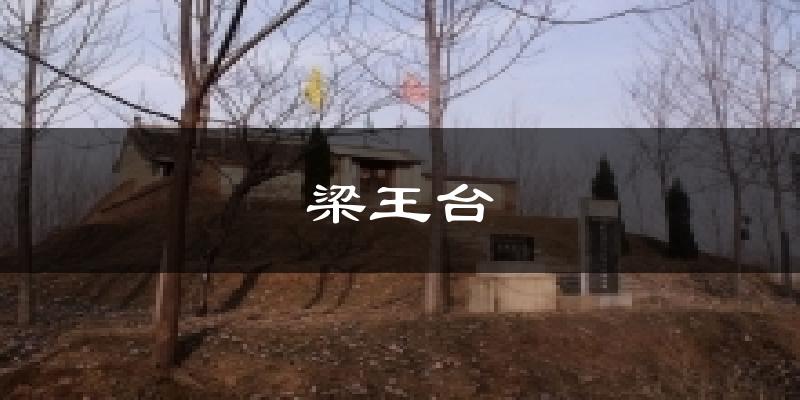 梁王台天气预报十五天