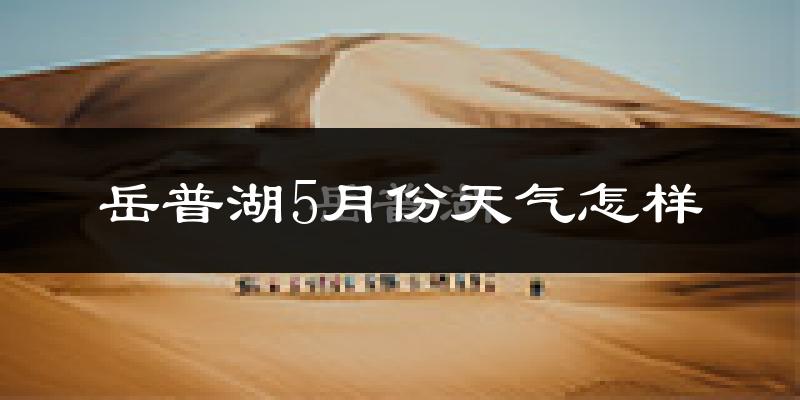 新疆岳普湖县5月天气如何?很热吗?