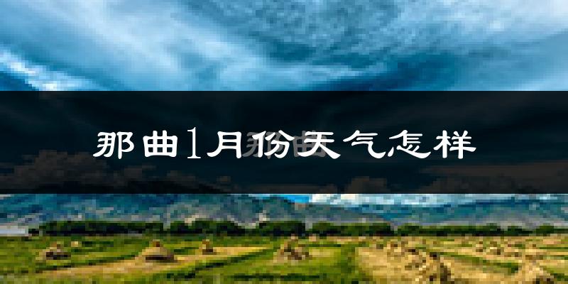 那曲县1月份天气如何?非常寒冷吗?