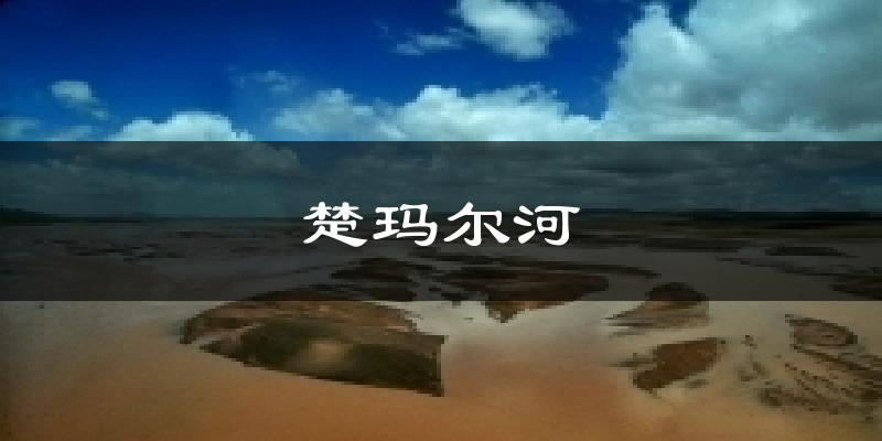 楚玛尔河天气预报十五天