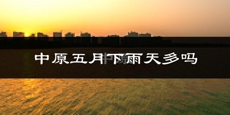 中原五月下雨天多吗?中原5月份降雨量多少?