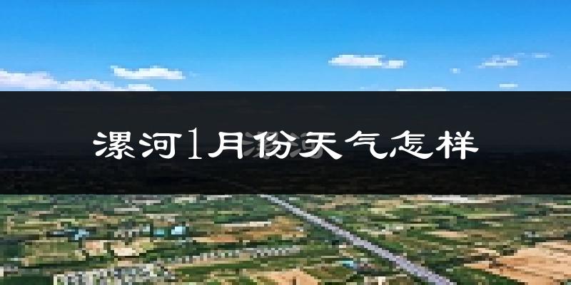 漯河市1月份天气如何?很冷吗?