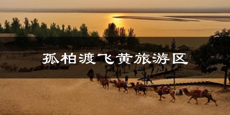 孤柏渡飞黄旅游区天气预报十五天