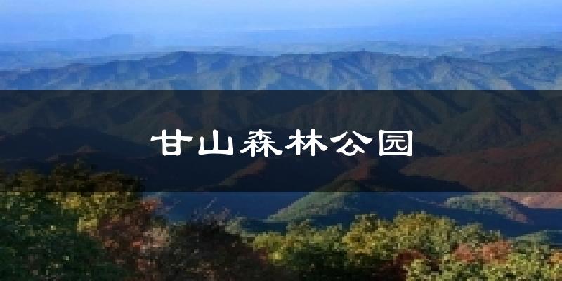 甘山森林公园天气预报十五天