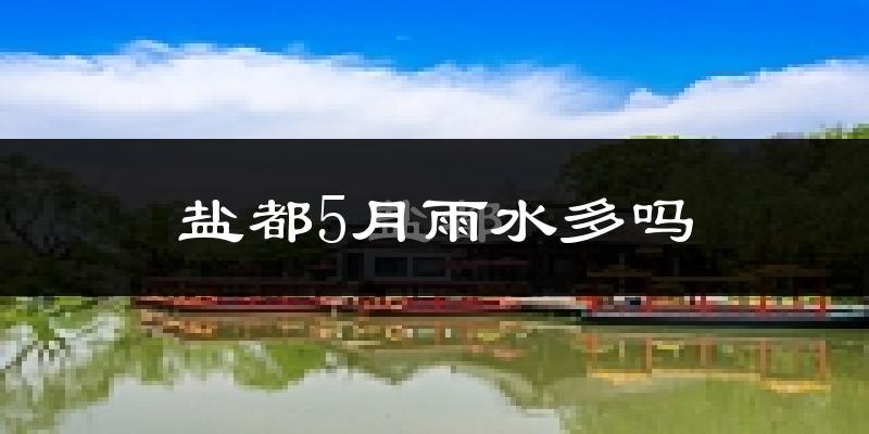 盐都5月雨水多吗?