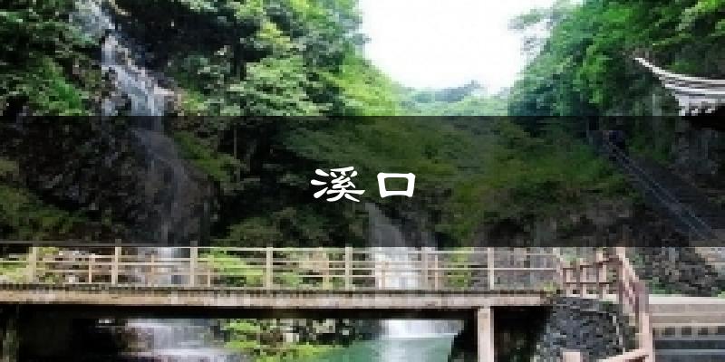溪口天气预报十五天