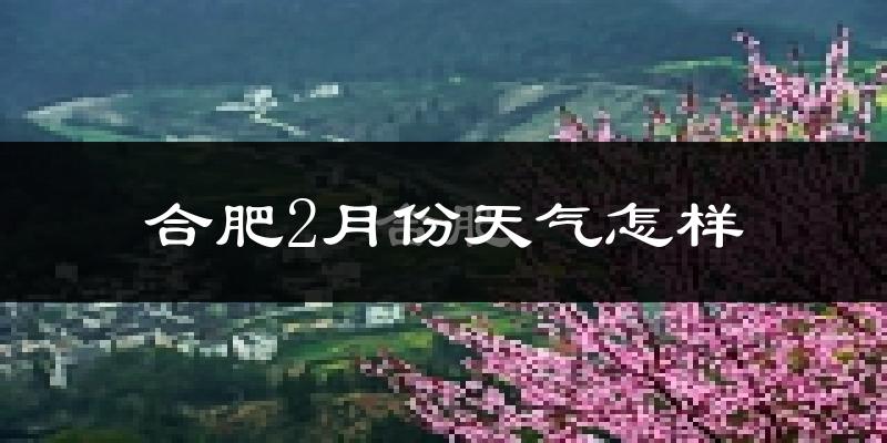 合肥市2月份天气如何?冷吗?过去两年天气数据分析