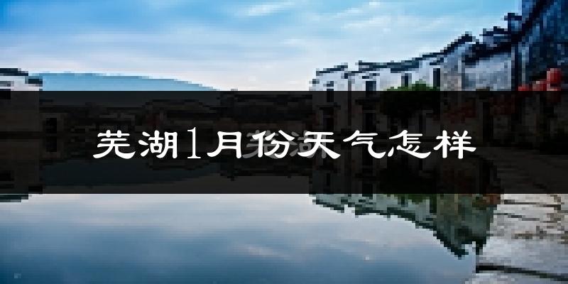 芜湖市1月份天气如何?很冷吗?