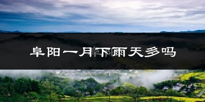 阜阳一月下雨天多吗?阜阳1月份降雨量多少?