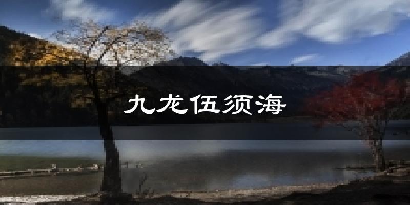 九龙伍须海天气预报十五天