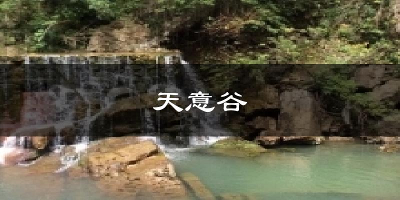 天意谷天气预报十五天