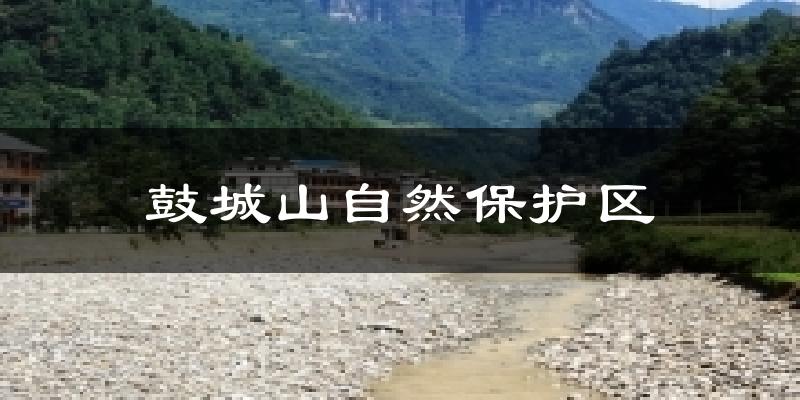鼓城山自然保护区天气预报十五天