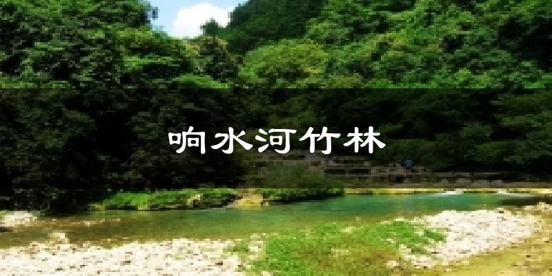 承德响水河竹林天气预报未来一周