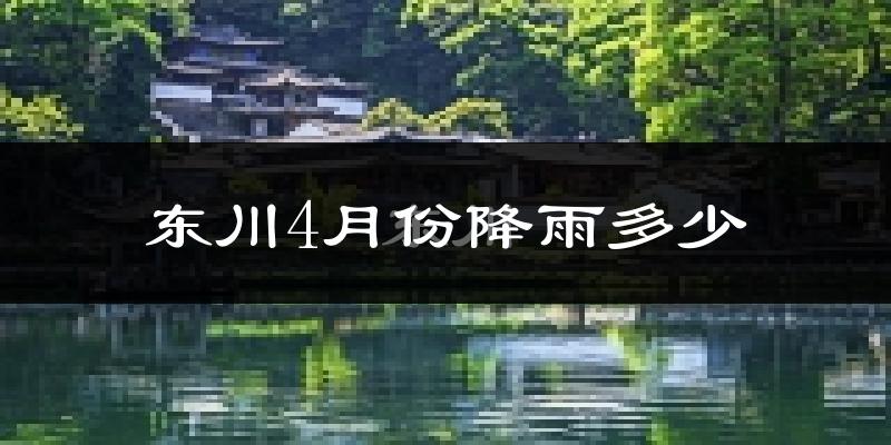 东川4月份降雨多少?