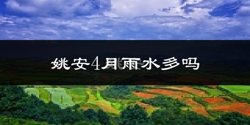 姚安4月雨水多吗?