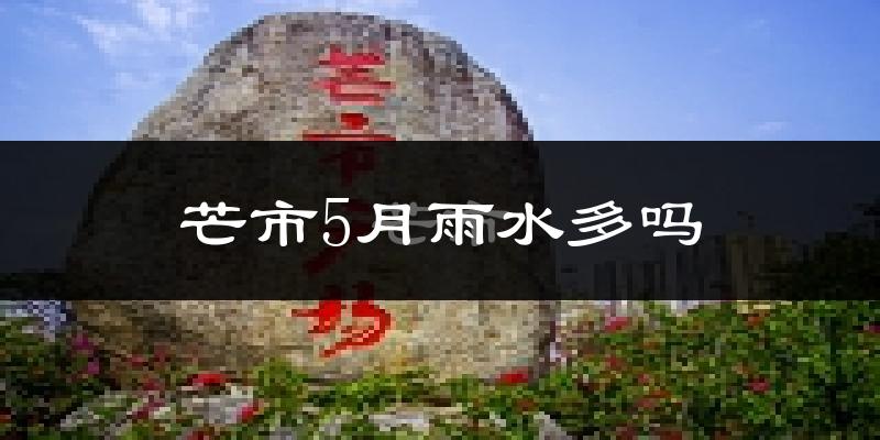 芒市5月雨水多吗?