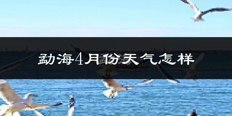 勐海县4月份天气如何?很热吗?