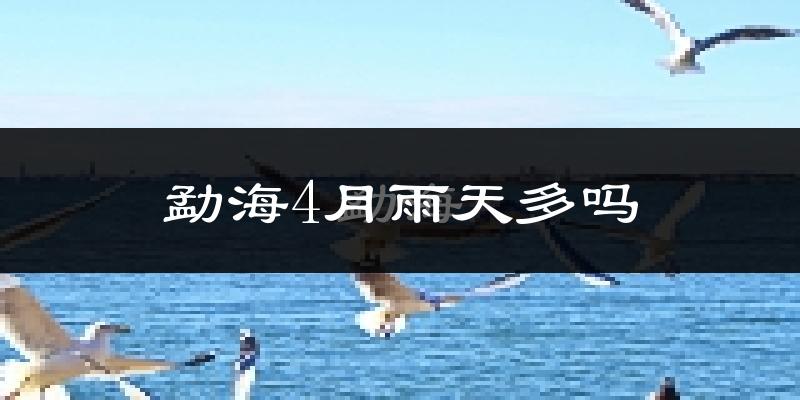 勐海4月雨天多吗?