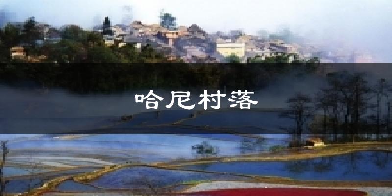 哈尼村落天气预报十五天