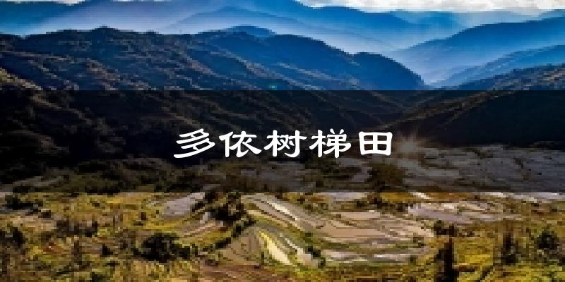 多依树梯田天气预报十五天