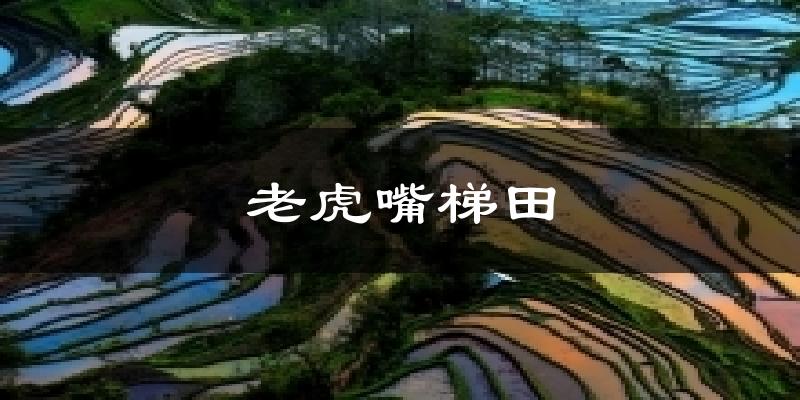老虎嘴梯田天气预报十五天