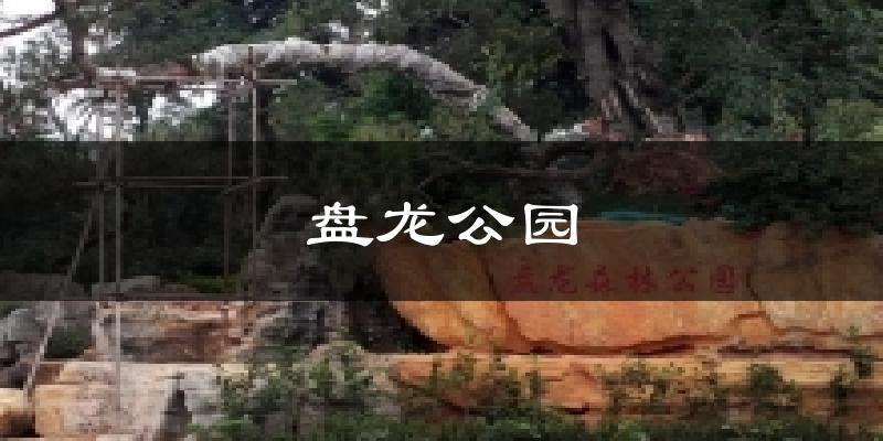 盘龙公园气温