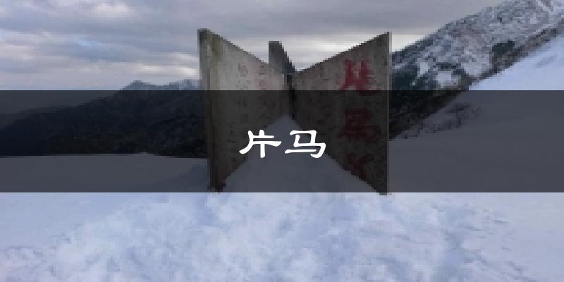 片马气温