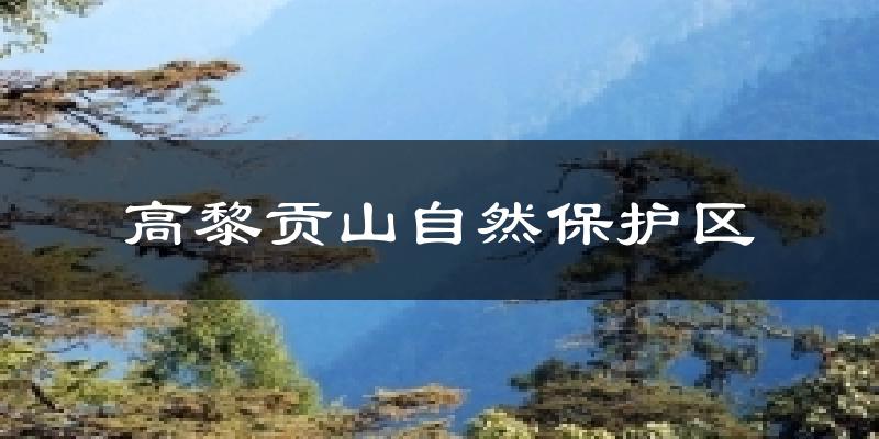 高黎贡山自然保护区气温