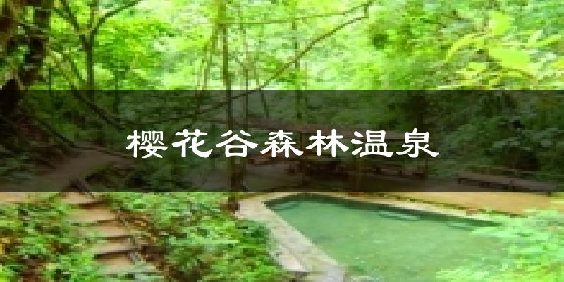 腾冲樱花谷森林温泉天气预报未来一周