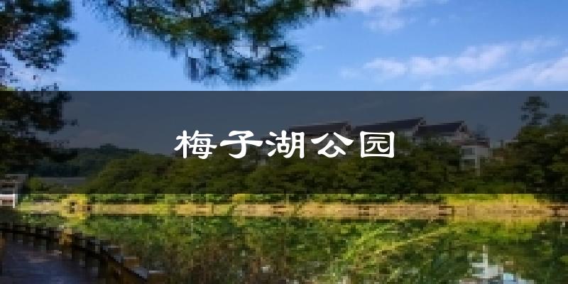 梅子湖公园气温