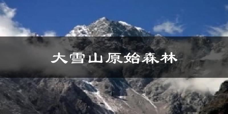 威信大雪山原始森林天气预报未来一周