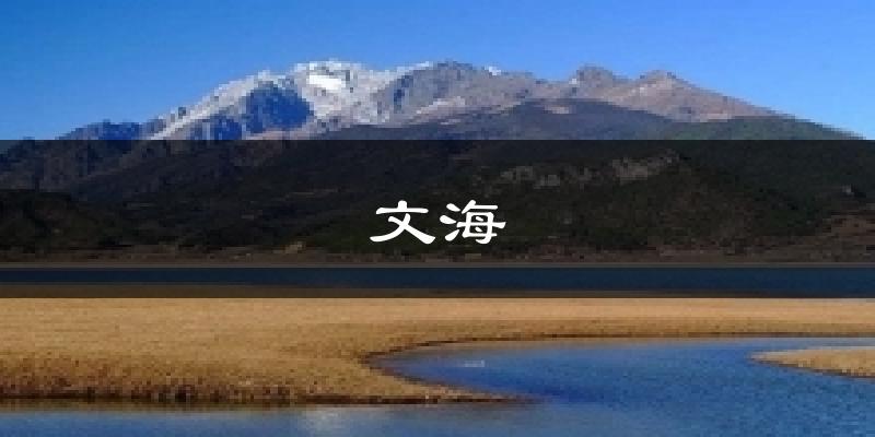 丽江文海天气预报未来一周