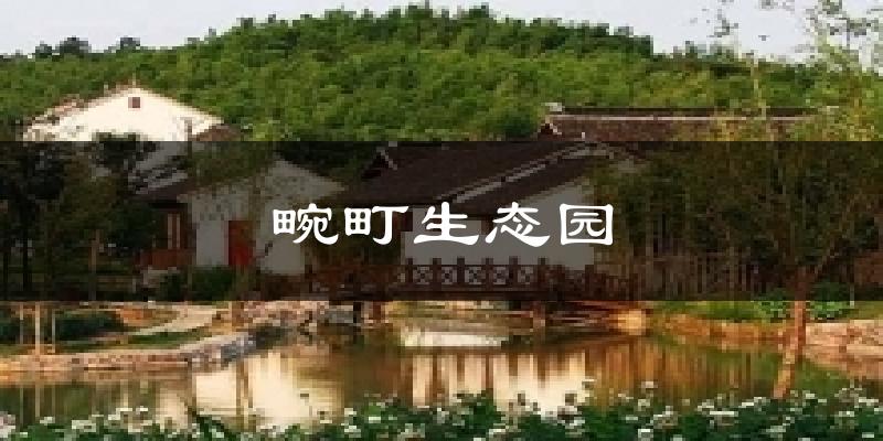 畹町生态园气温